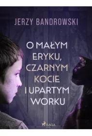 O małym Eryku, czarnym kocie i upartym worku
