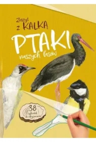 Ptaki naszych lasów. Zeszyt z kalką