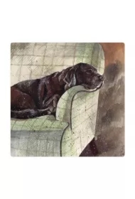 Magnes FM228 Pies Buddy