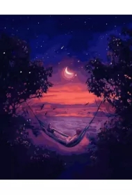 Malowanie po numerach czarne płótno - Nocna...