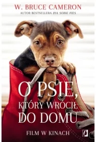 O psie, który wrócił do domu