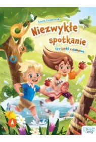 Niezwykłe spotkanie. Czytanki sylabowe