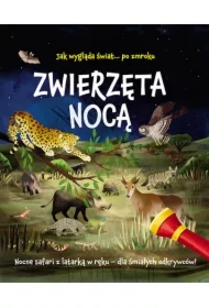Zwierzęta nocą. Nocne safari z latarką w ręku dla śmiałych odkrywców