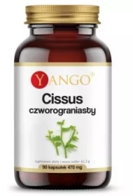 Cissus Czworograniasty 470 mg Suplement diety