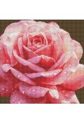 Фото - Малювання Ideyka Diamentowa mozaika - Doskonała róża 