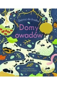 Domy owadów. Zajrzyj do środka