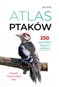 Atlas ptaków