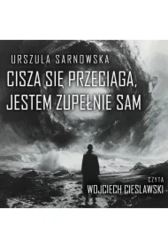Cisza się przeciąga, jestem zupełnie sam