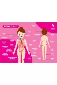 Fiszki do języka angielskiego - Ciało 3 szt