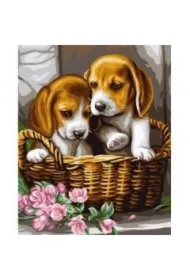 Malowanie po numerach - Pieski w koszyku