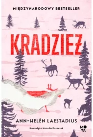 Kradzież