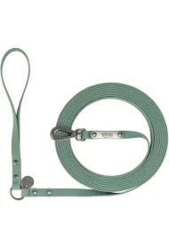 CityStyle, Smycz dla psa, szałwiowa, PVC, S-M: 5 m/13 mm