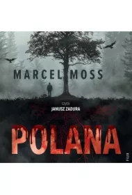Polana