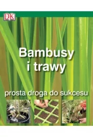Bambusy i trawy