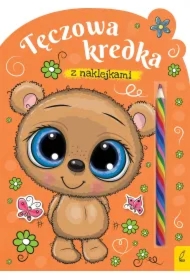 Tęczowa kredka. Miś