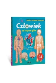 Człowiek od stóp do głów