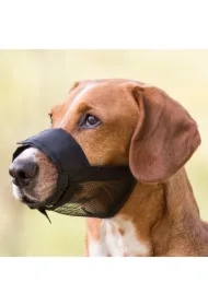 Kaganiec z siatką, dla psa, poliester, czarny, L- XL, dł. pyska 24-34 cm, szer. paska 6, 4 cm