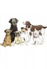 Podkładka pod kubek C195 6 psów