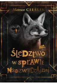 Śledztwo w Sprawie Nadzwyczajnej