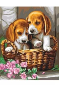 Malowanie po numerach - Szczeniaki w koszyku