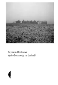 Gęsi odpoczywają na Gotlandii