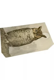 Mydło zapach leśny Sowa