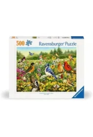 Puzzle 500 el. 2D Ptaki