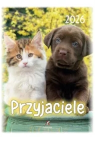 Kalendarz 2026 B4 wieloplanszowy Przyjaciele