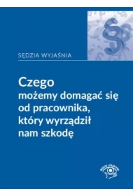 Czego możemy domagać się od pracownika, który wyrządził nam szkodę