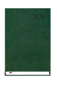 Asystent 2026 Alaska ciemna zieleń