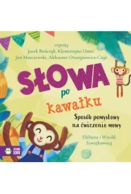 Słowa po kawałku