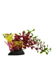 Roślina, do dekoracji akwarium, bordowa, plastikowa, 20 cm, paprotka i młode pędy