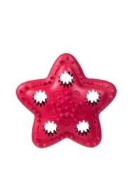 Gwiazda na przysmaki, czerwona 12, 5cm