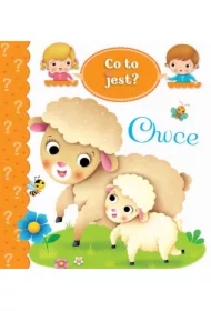 Co to jest? Owce
