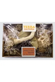 Zestaw dekoracji do terrarium pustynnego