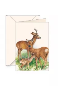 Karnet B6 z kopertą Jelonki