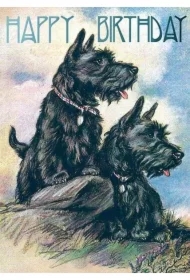 Karnet B6 z kopertą Urodziny Terier Szkocki