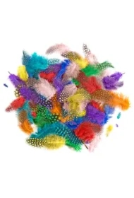 Piórka bażanta 4-7cm 10g brights