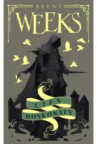 Cień doskonały. Anioł Nocy