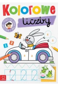 Kolorowe liczby. Edukacyjna książeczka