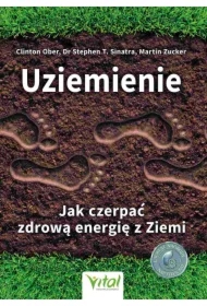 Uziemienie. Jak czerpać zdrową energię z Ziemi.
