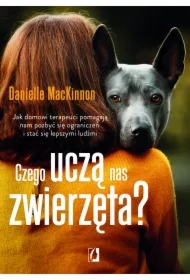 Czego uczą nas zwierzęta? Jak domowi terapeuci pomagają nam pozbyć się ograniczeń i stać się lepszymi ludźmi