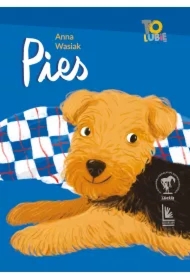 Pies