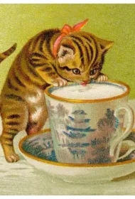 Karnet B6 z kopertą Kot pijący mleko