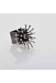 Kwietnik z Cytrynem, pierścionek