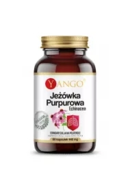 Jeżówka purpurowa odporność Suplement diety