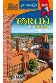 Toruń. Multiprzewodnik