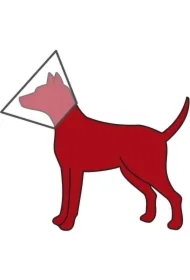 Kołnierz ochronny plastikowy z rzepem, XS: 18&ndash;23 cm/8 cm