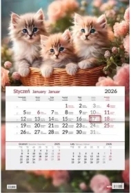 Kalendarz 2026 jednodzielny Kotki
