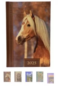 Terminarz 2025 dzienny B6 Prismalux MIX